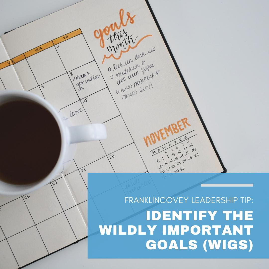 wildly important goal board ideas｜TikTok Search