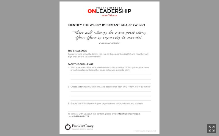 Tool: Wildly-Important-Goals
