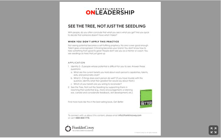Tool: The Tree On Leadership Tool